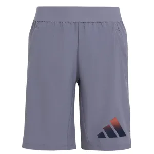 adidas - Kids' (Junior) Icons Aeroready Logo Woven Shorts (IA4618)